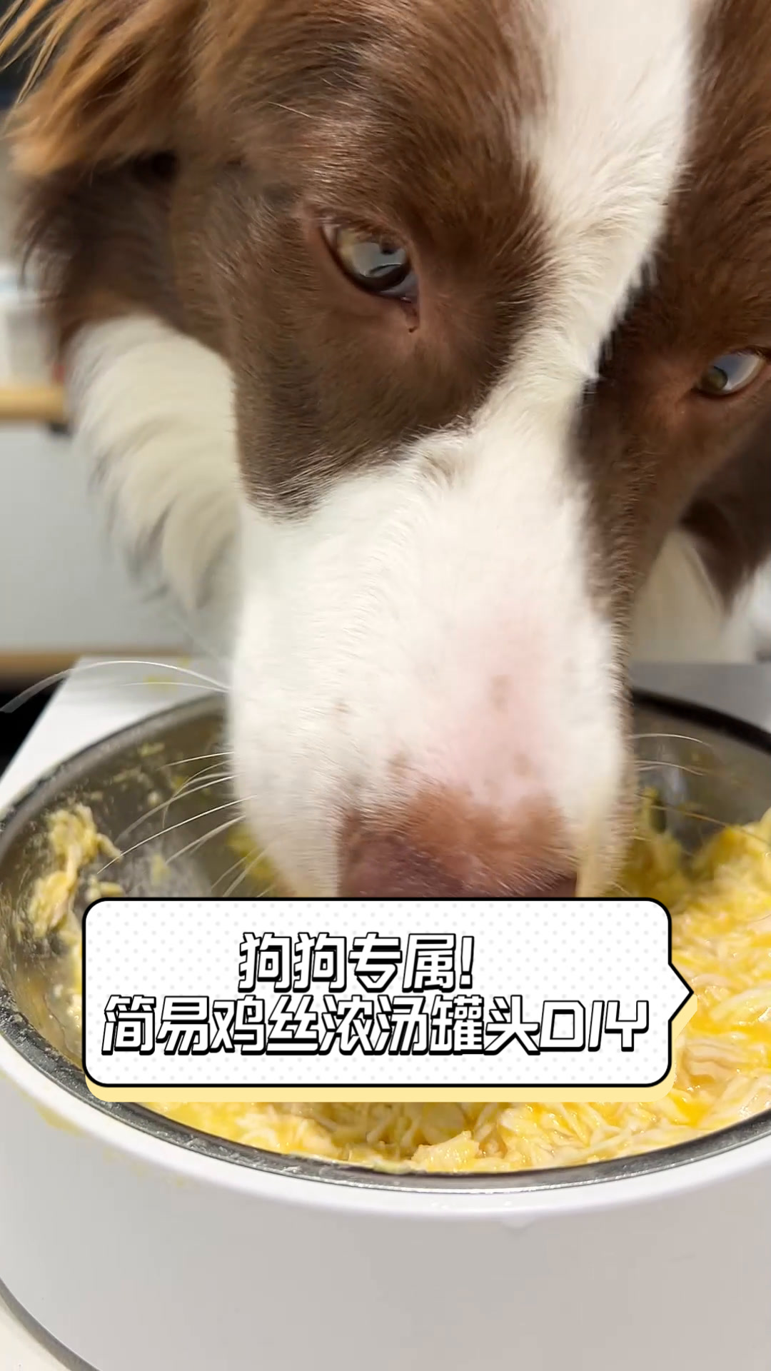 狗狗专属!简易鸡丝浓汤罐头DIY