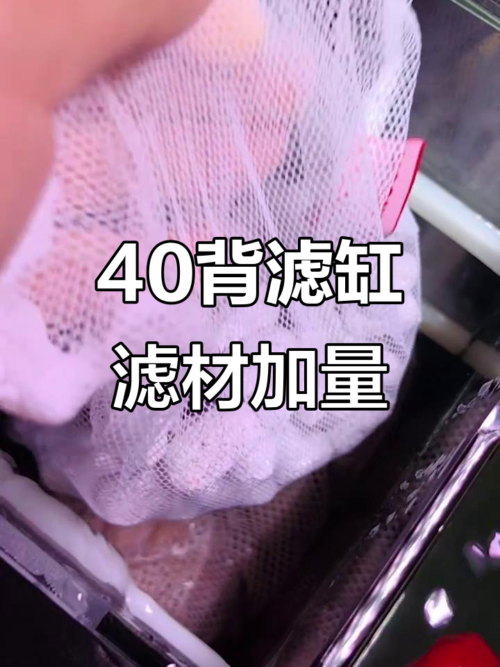 40背滤缸能放多少斤滤材？新手养鱼必看技巧