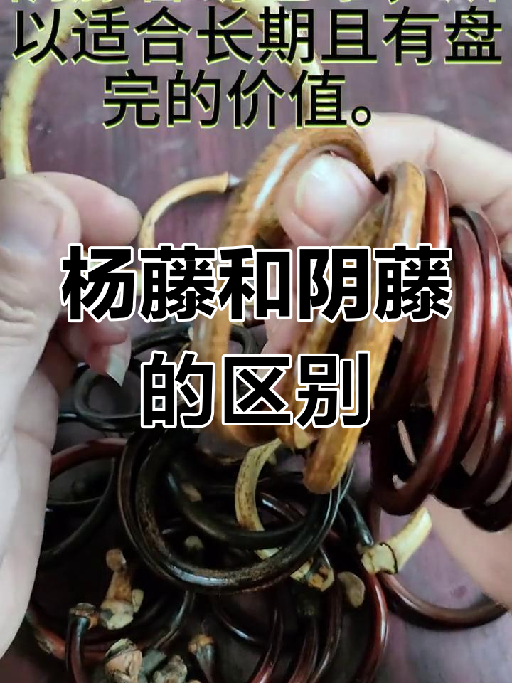 鸡血藤手镯的杨藤与阴藤区别,如何挑选最适合你的款式