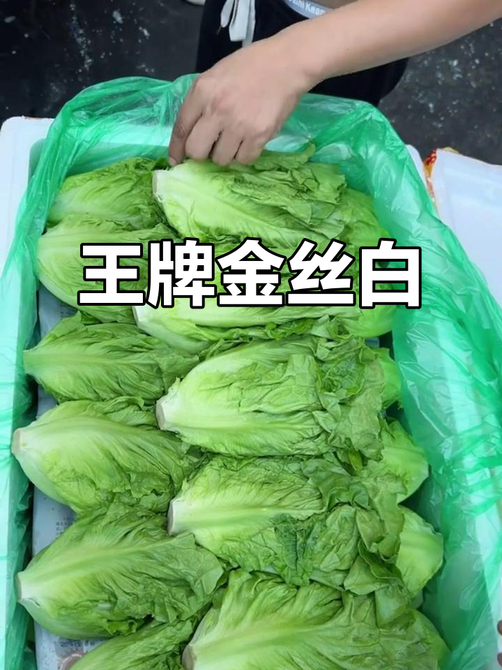 金丝白：王牌背后的秘密