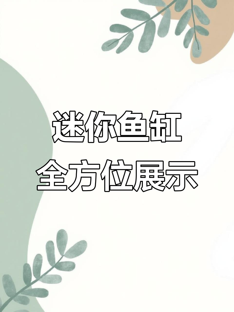小巧精致鱼缸大揭秘，过滤系统全解析