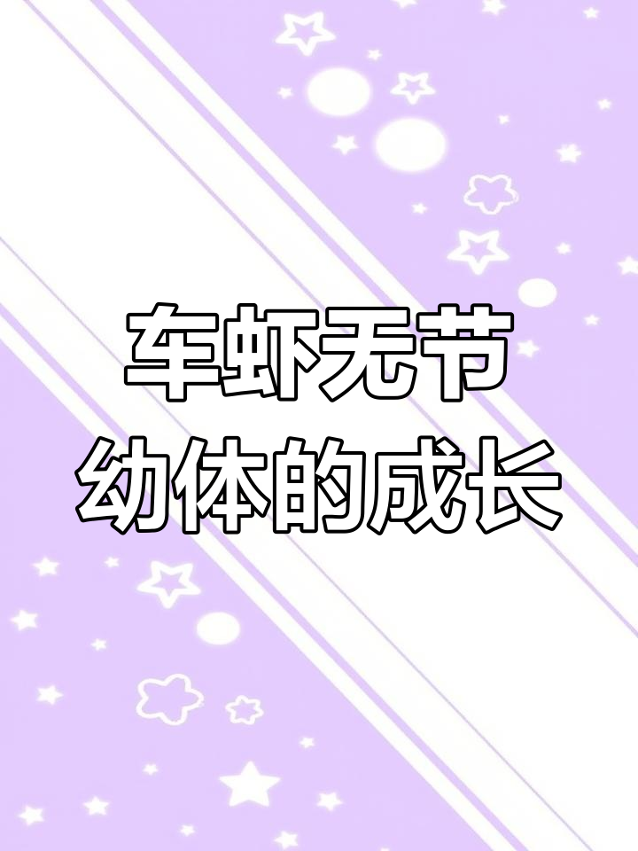 车虾无节幼体显微镜下的奇妙世界,揭秘生长与蜕变过程