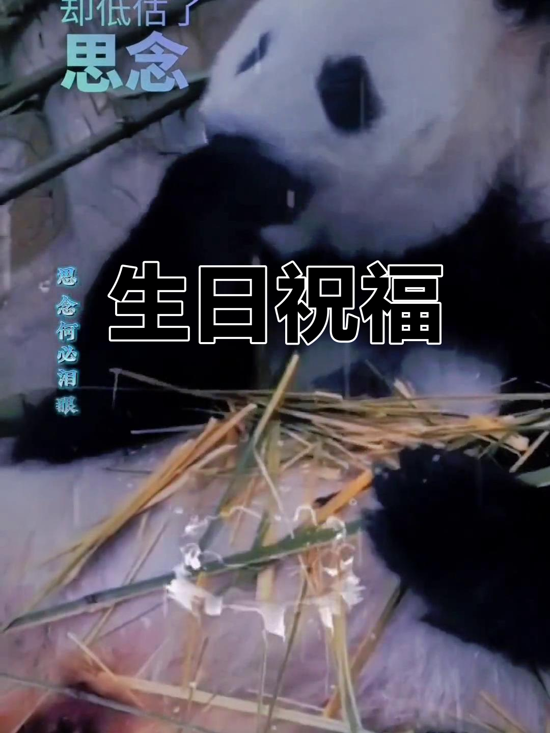 九天的番鸭蛋孵化过程,血丝清晰可见