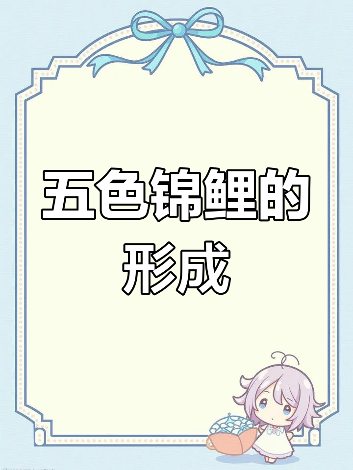 五色锦鲤的演变过程