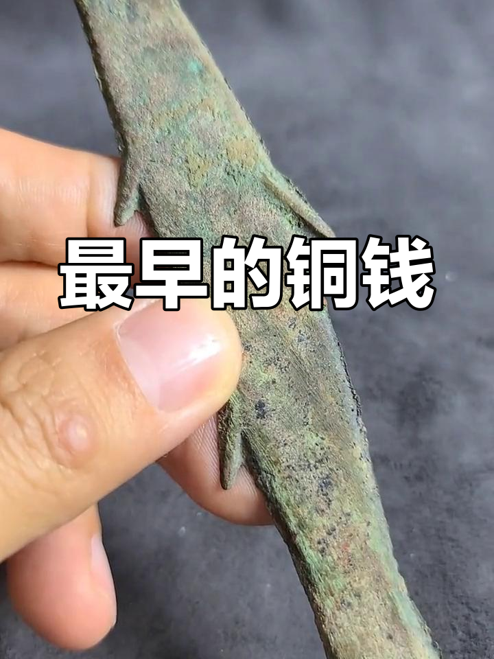 鱼币的起源与演变