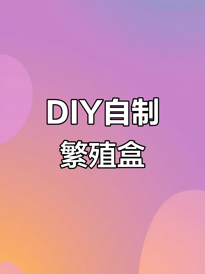 自制繁殖隔离盒教程,轻松打造鱼缸小天地