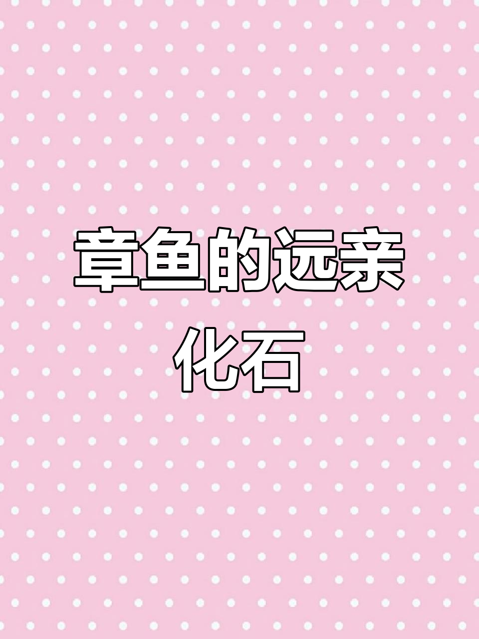 远古章鱼祖先的神秘化石,方解石填充壳体发出红色光芒
