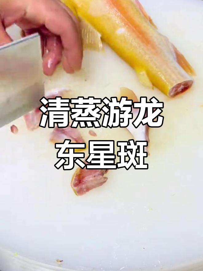 古法清蒸东星斑,鱼肉鲜美