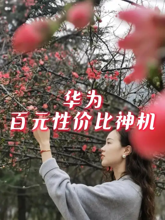 华为百元性价比神机，哪款最值得购买？