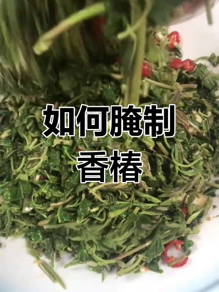 腌香椿的正确做法,简单又美味!