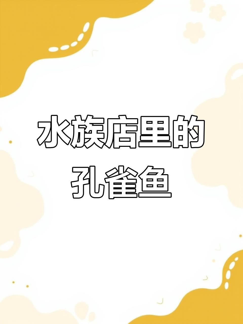 喜欢观赏鱼?来我店铺看看孔雀鱼苗,带你进入水族世界