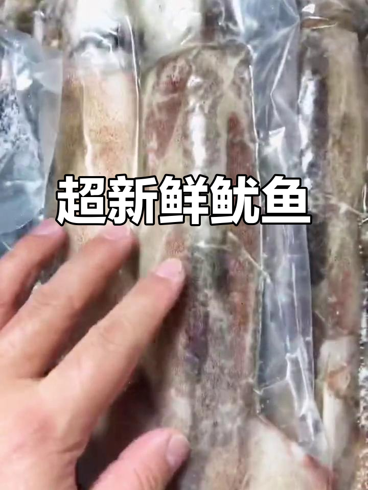 新鲜鱿鱼,颜色鲜红如初生,口感超赞