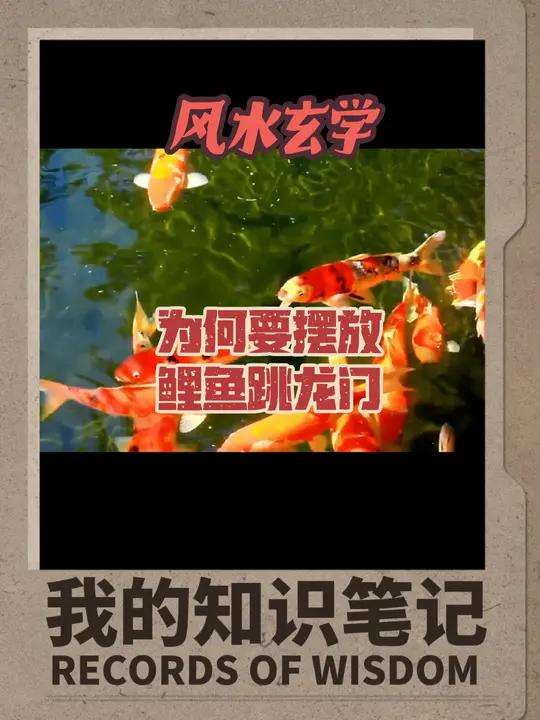 为何要摆放鲤鱼跳龙门