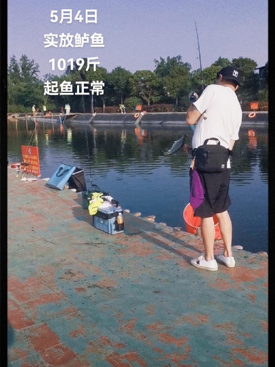 路亚 黑坑盘老板 中视频伙伴计划 出发吧伟大的钓手 黑坑鲈鱼