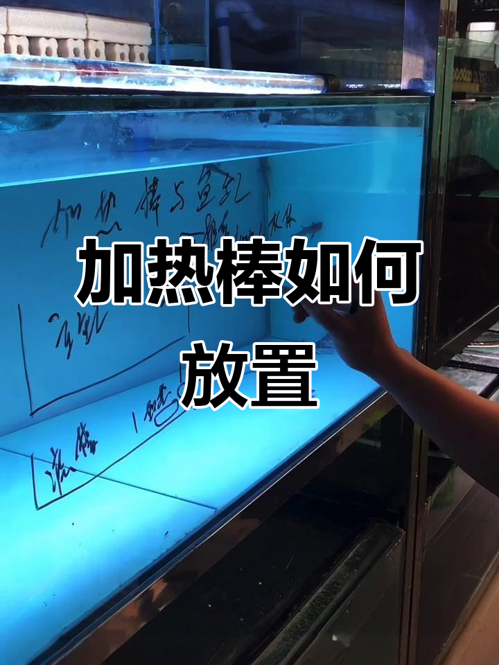 鱼缸加热棒摆放技巧:主缸与泵舱哪种更合适?