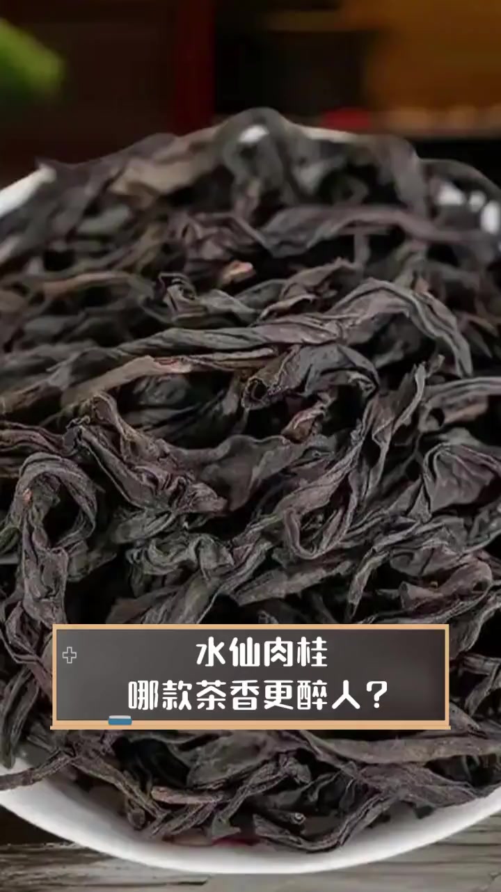 水仙肉桂,哪款茶香更醉人?