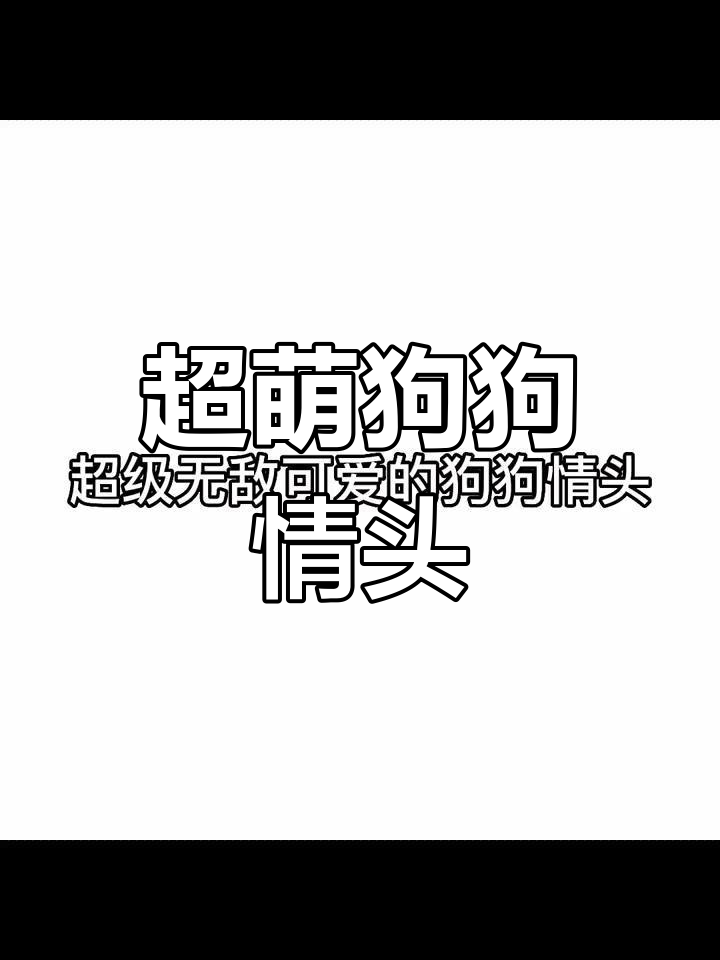 可爱狗狗情侣头像,萌化你的心