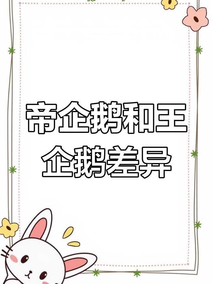 帝企鹅与王企鹅的区别解析