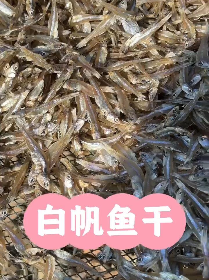 深海白帆鱼干、一斤做5顿菜