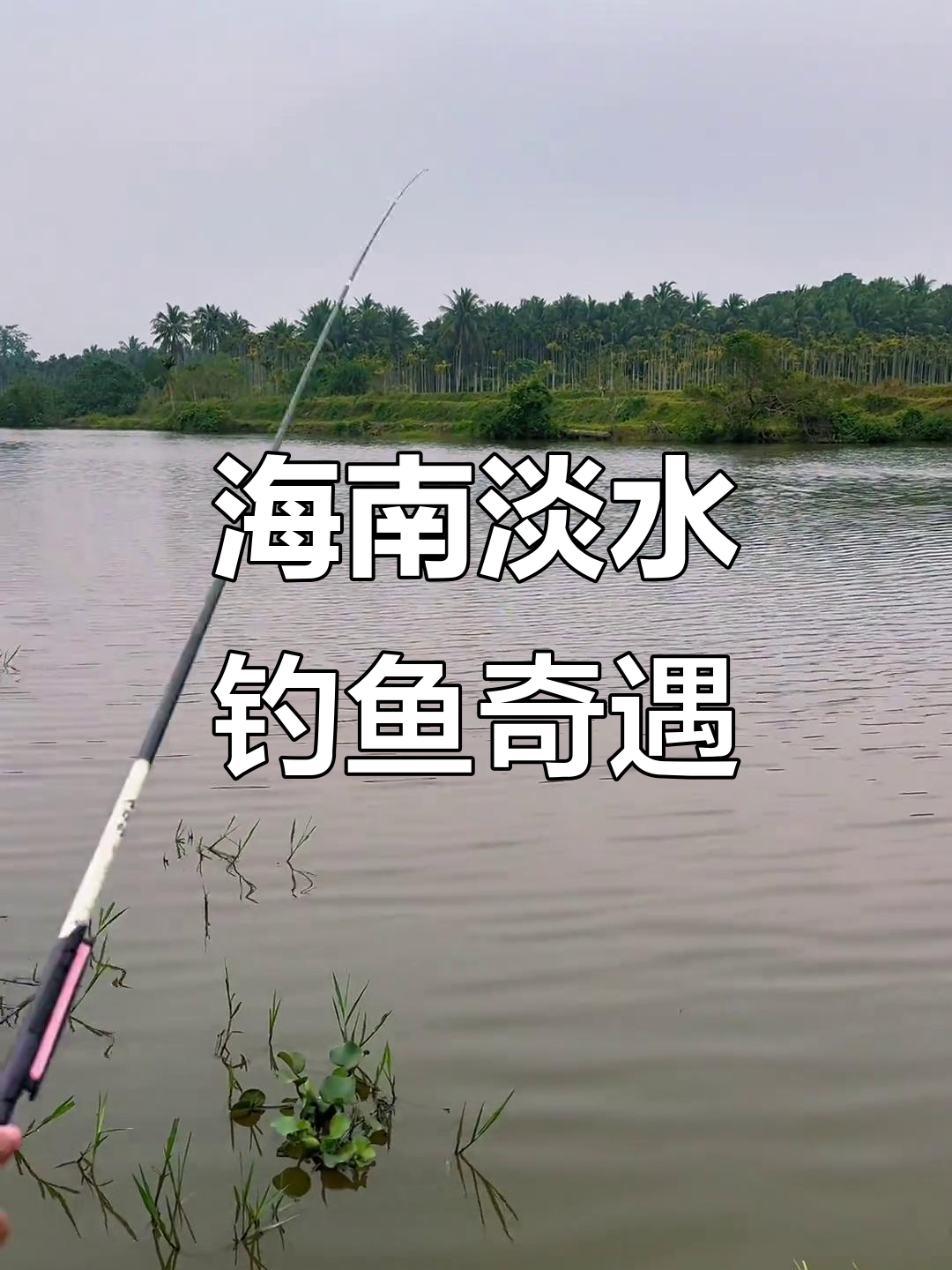 海南淡水钓鱼大丰收,竟钓到这种怪物鱼!