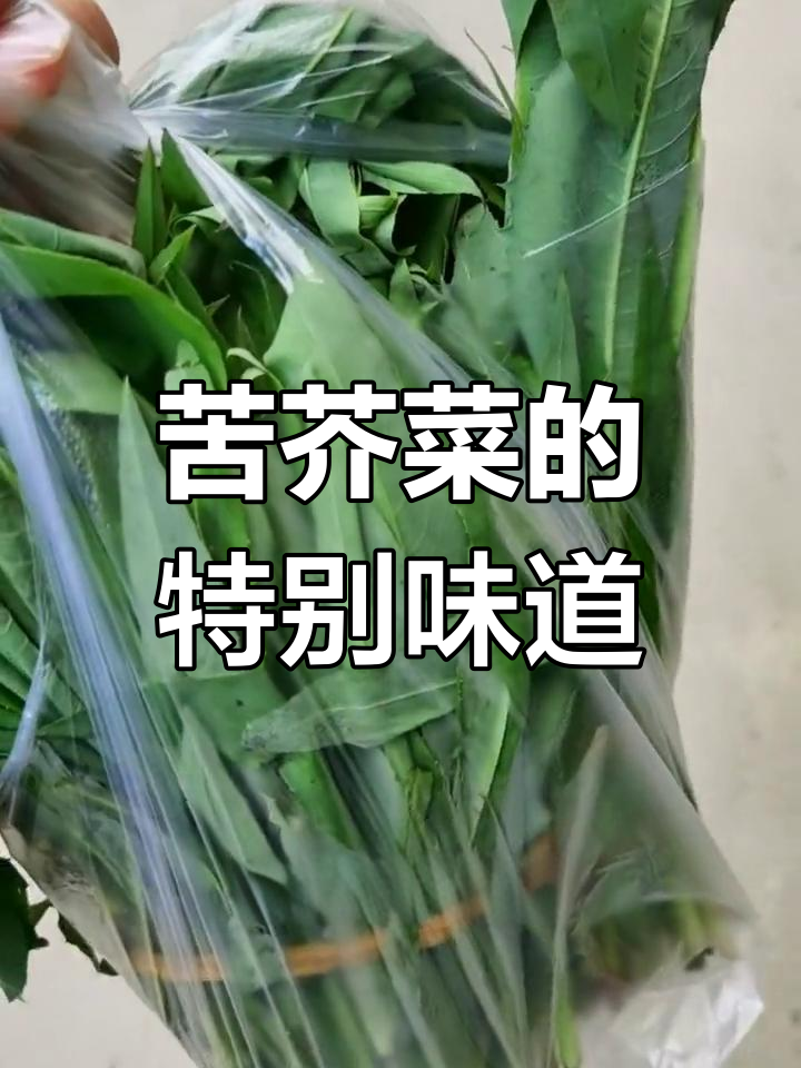 苦芥菜,甜中带苦的独特美味