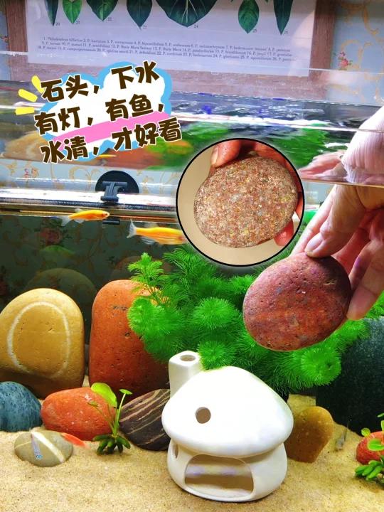 鱼缸造景,干石头颜色暗淡,下水立马惊艳