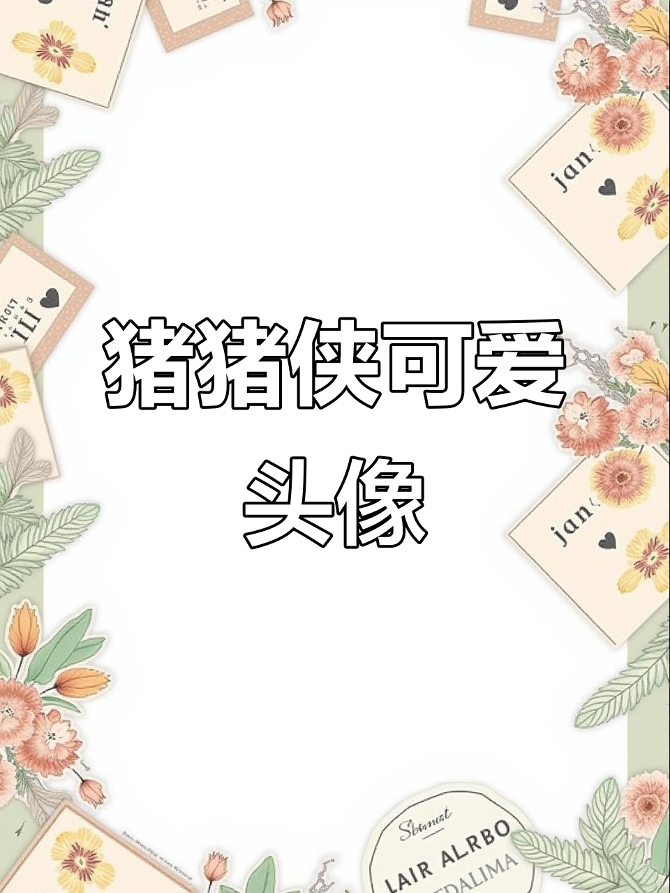 猪猪侠经典头像,萌态十足