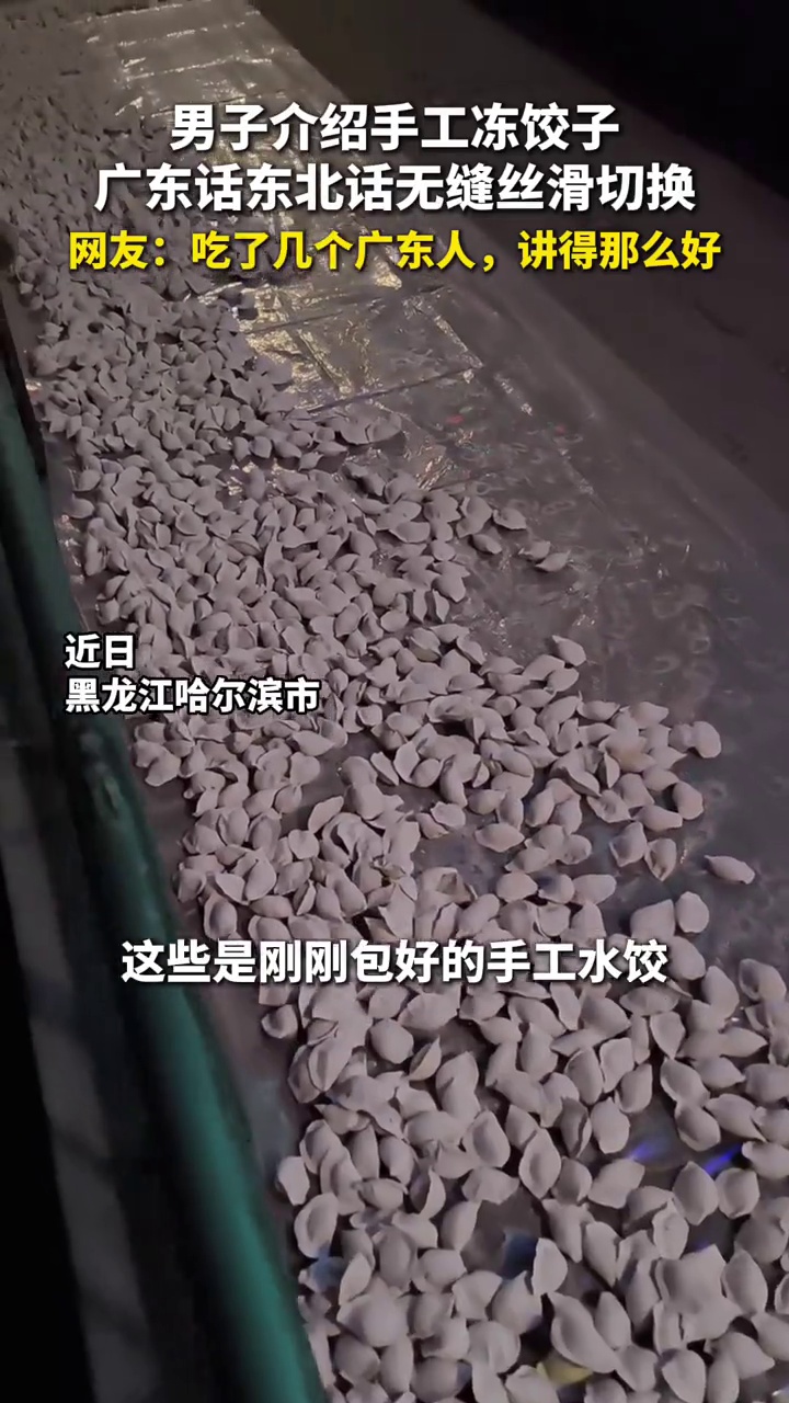 哈尔滨小伙介绍自家手工冻饺子，广东话东北话无缝丝滑切换
