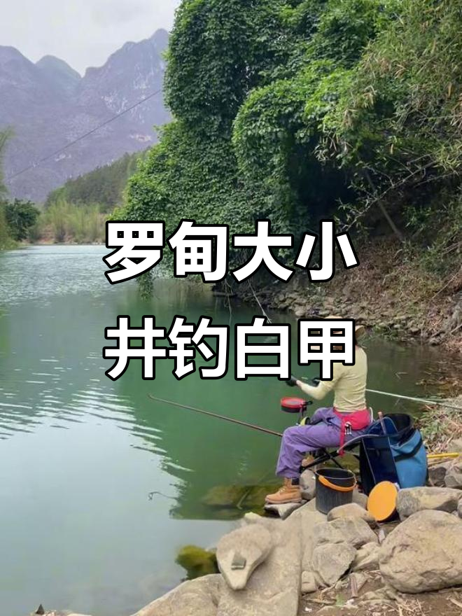 贵州罗甸大小井钓白甲,天气闷热钓鱼挑战