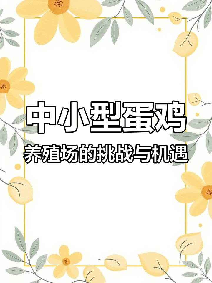 中小型蛋鸡养殖场如何应对行业变革？未来出路在哪里