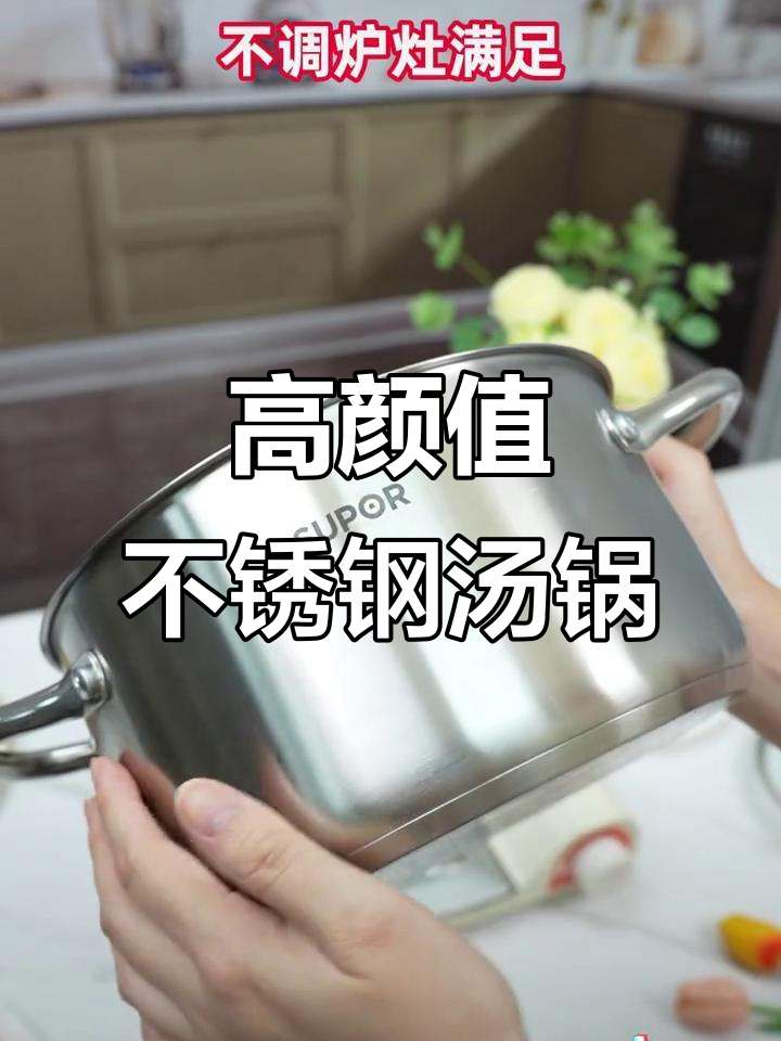 苏泊尔欧式汤锅，颜值与实用并存