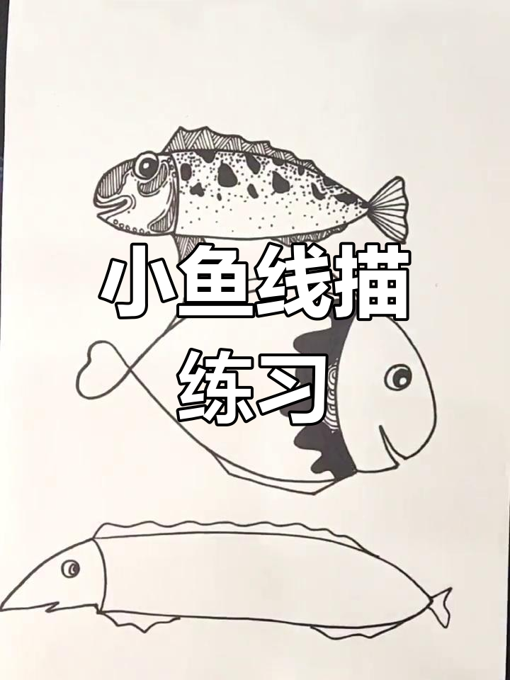 线条艺术:用点线面打造独特小鱼花纹