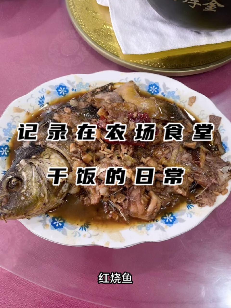 听说吃鱼会变聪明哦 记录真实生活 新农人计划2023 东北才能吃到这样的菜量