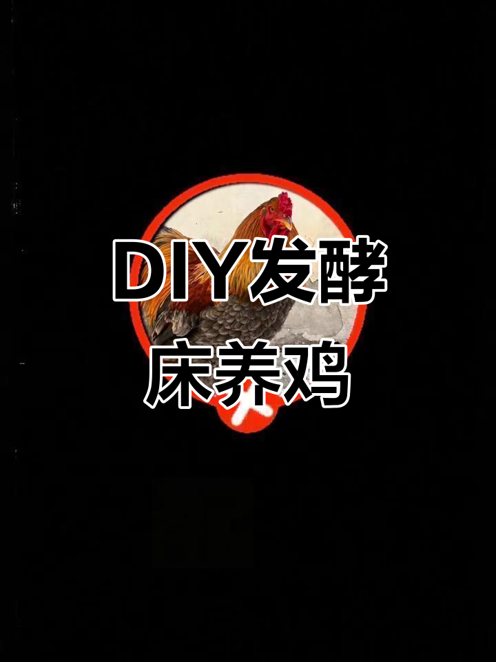 自己动手做发酵床,养鸡无异味更舒适