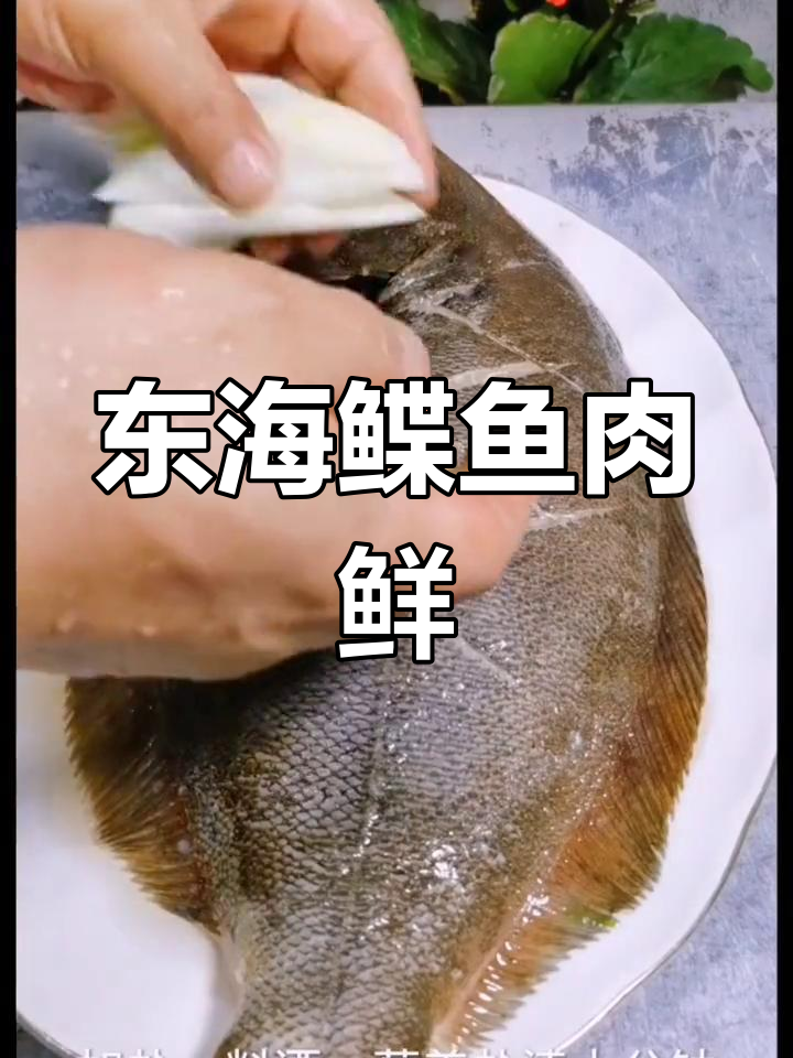 舟山东海鲽鱼,肉质鲜美刺少