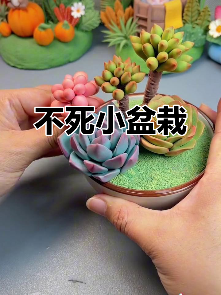 无需浇水,粘土多肉轻松做,永不凋谢!