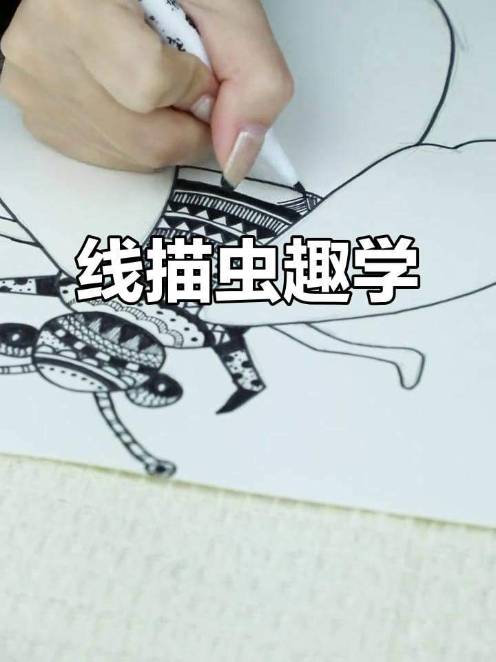 8岁孩子轻松学会的黑白线描画《昆虫记》