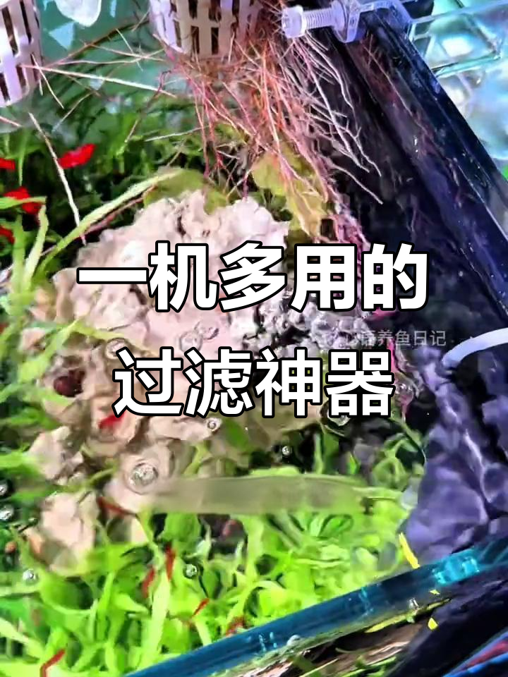 鱼缸过滤器，增氧净水一体，直角设计省空间，龟缸也能用