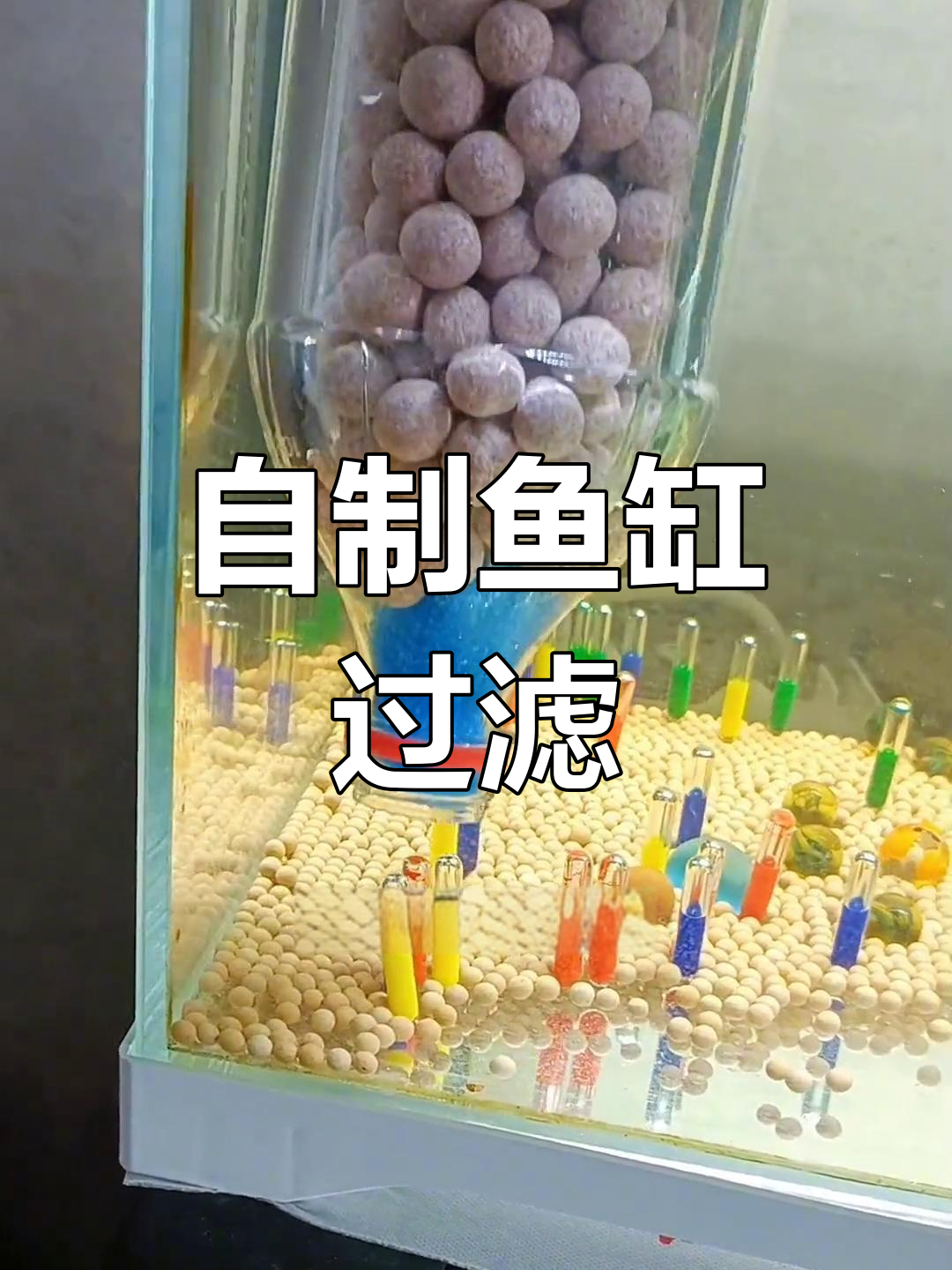 动手改造鱼缸,过滤器DIY,外观也能随心所欲!