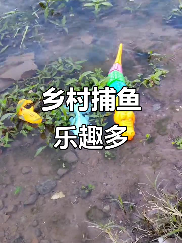 春耕季节抓鱼大作战,金鱼、黄鱼一网打尽