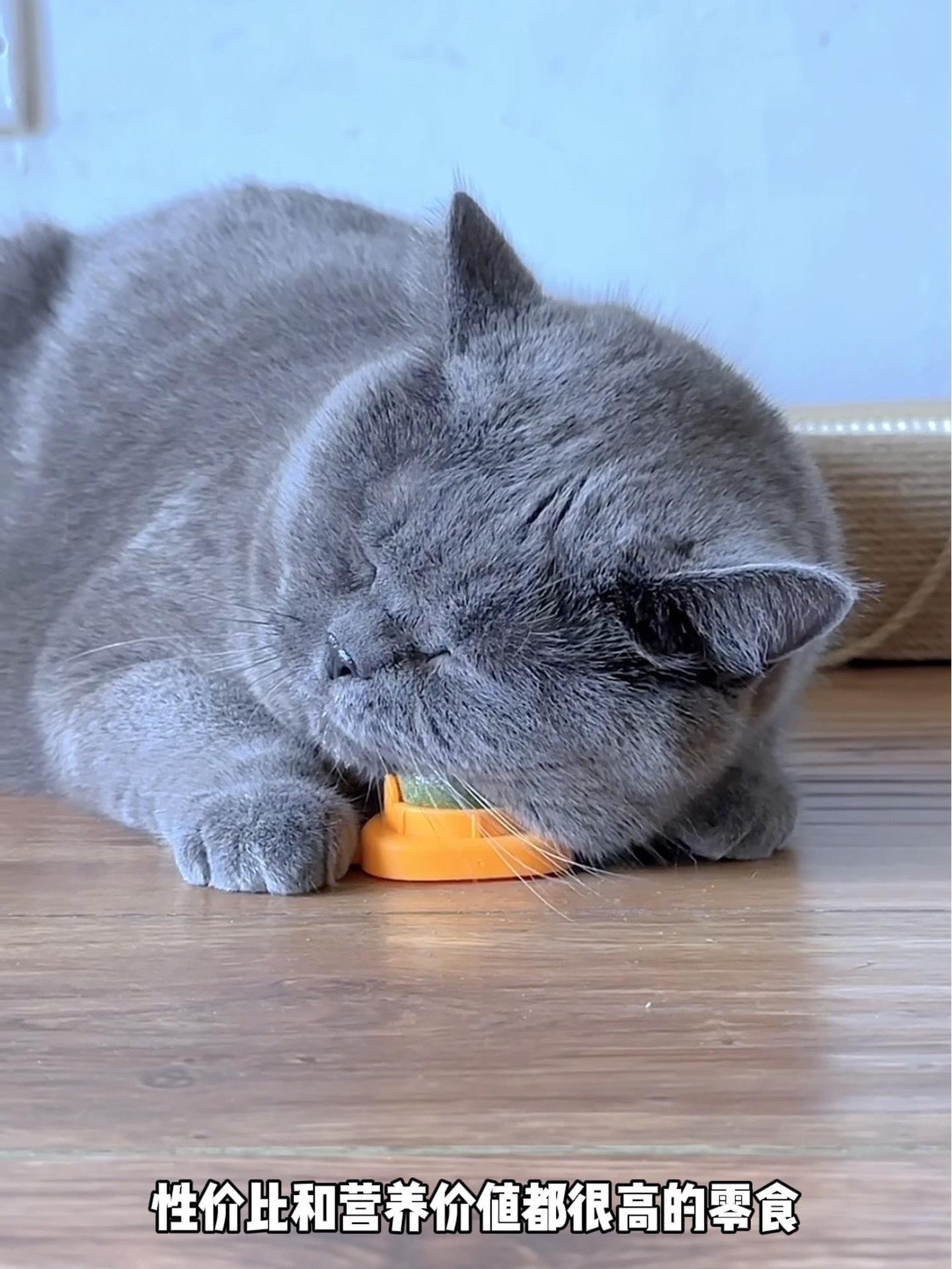 性价比和营养价值都很高的零食,吃出心明眼亮的小猫咪 萌宠好物 鸡心 猫咪零食