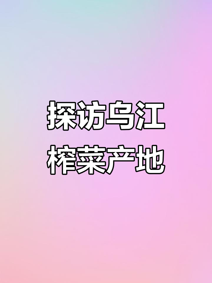 乌江榨菜的独特生长环境与制作工艺,揭秘冬季美味背后的秘密