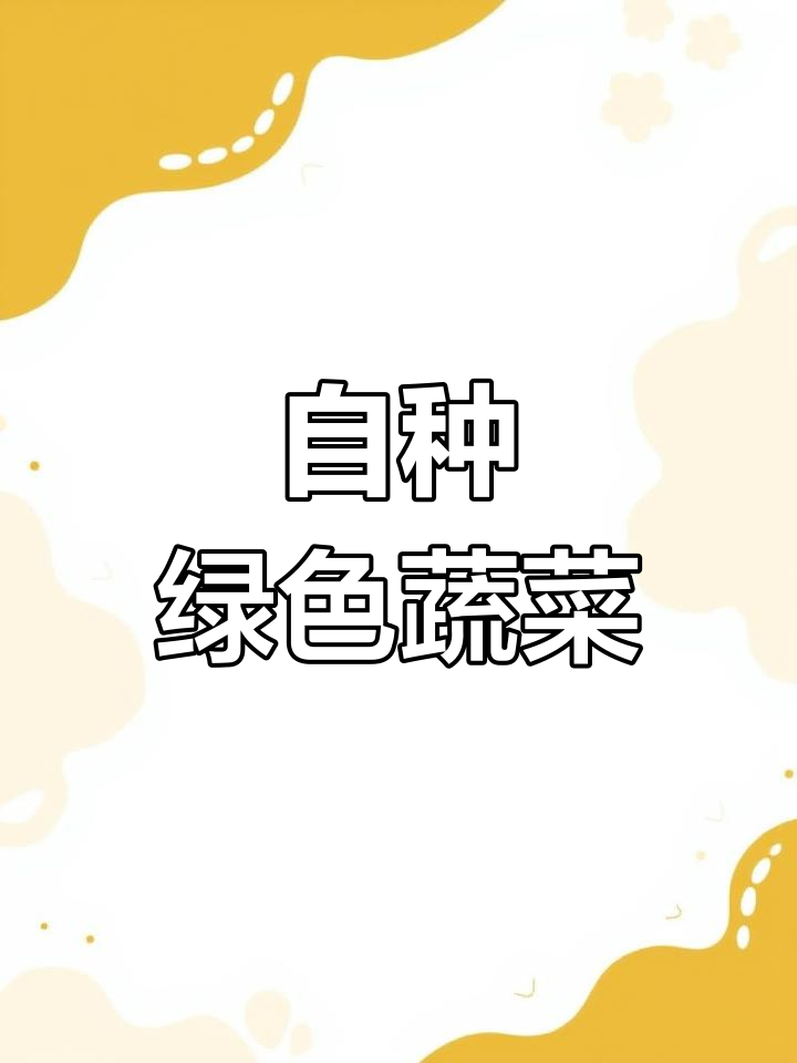 纯天然绿色蔬菜种植,乡村振兴的美丽实践