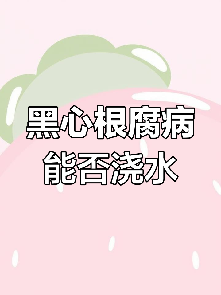 芹菜黑心病根腐病能浇水吗?效果如何