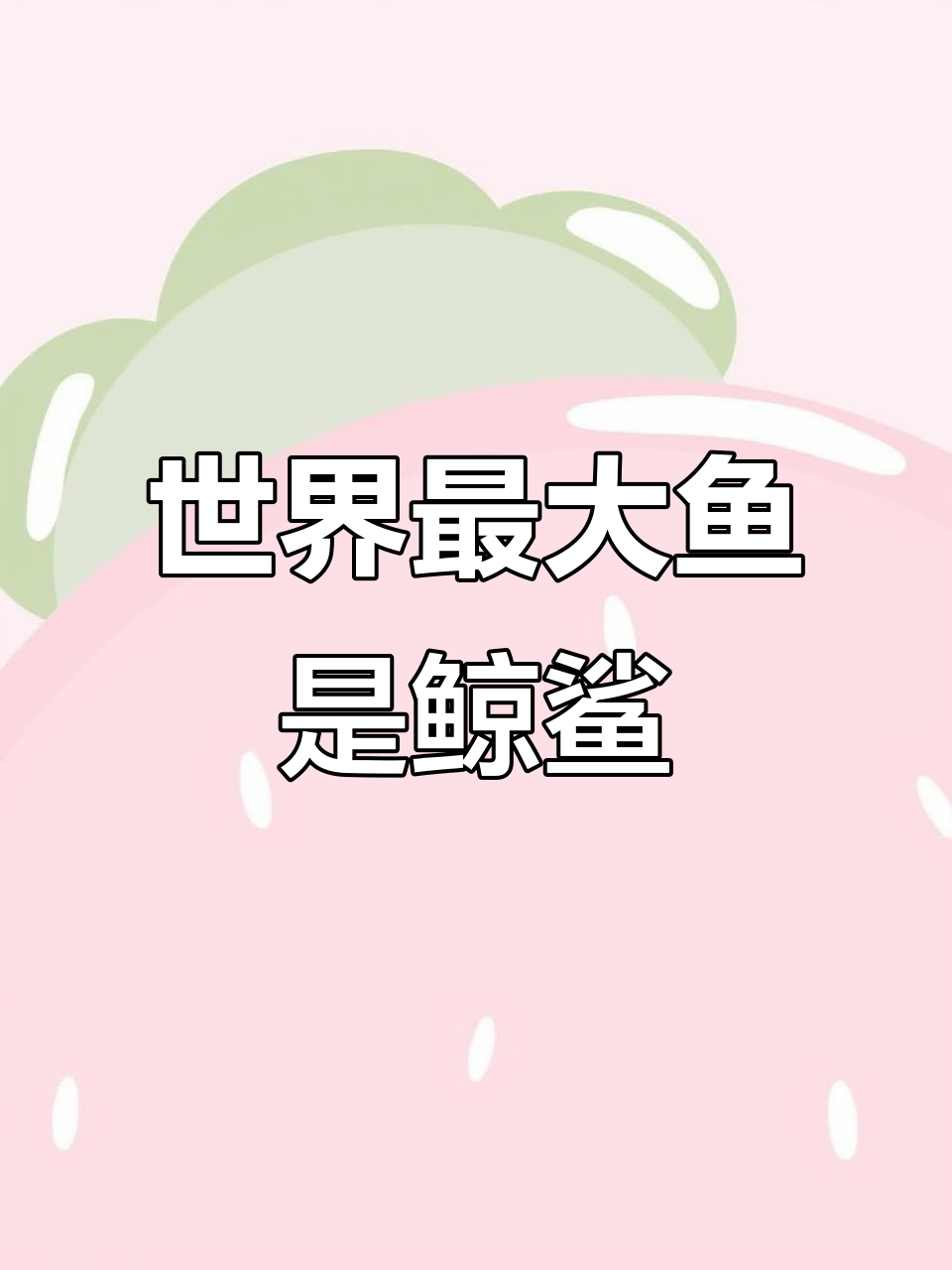 鲸鲨才是海洋巨无霸,揭秘世界上最大的鱼类