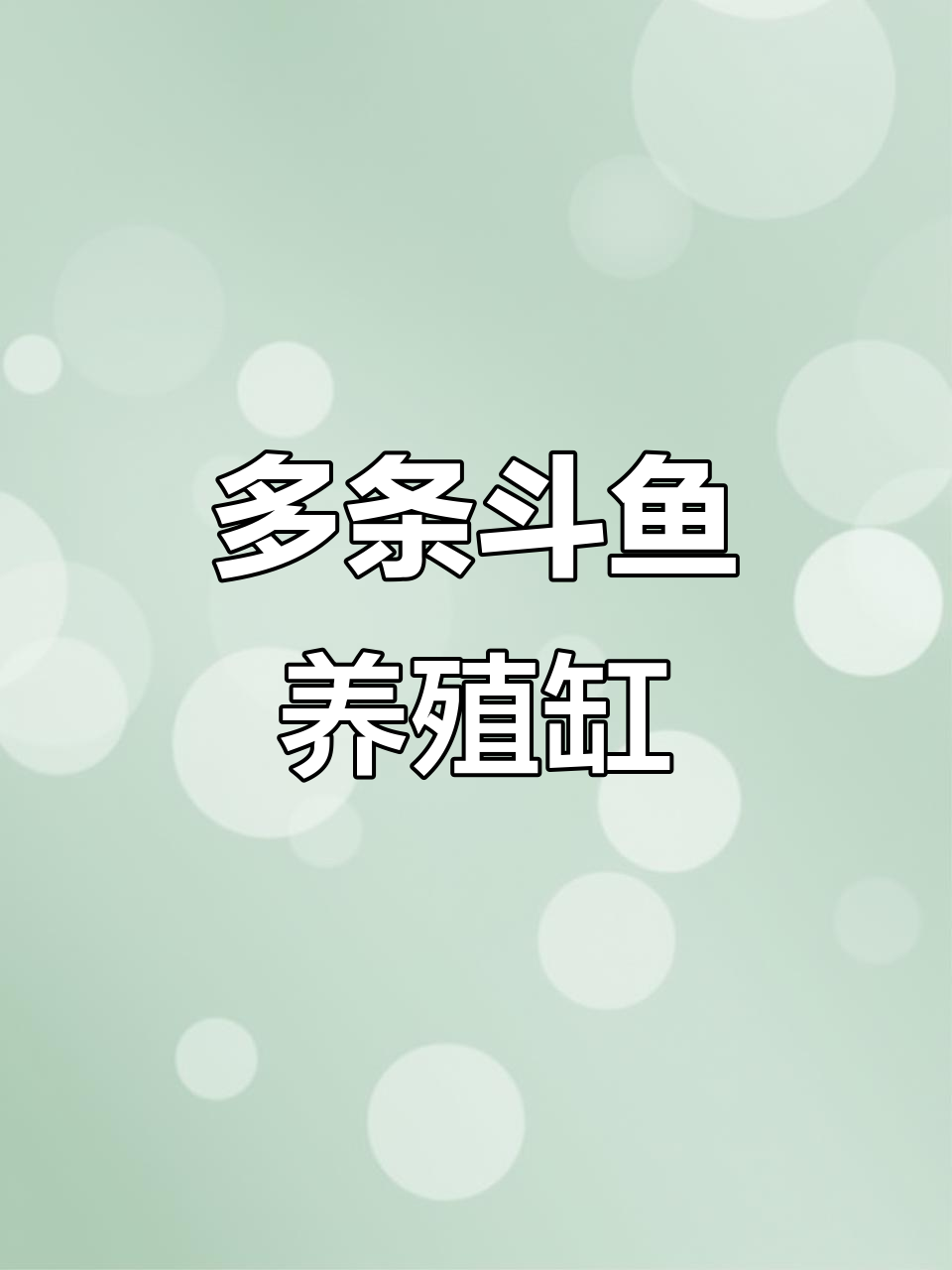 斗鱼专用缸，背滤设计让你养多条更方便
