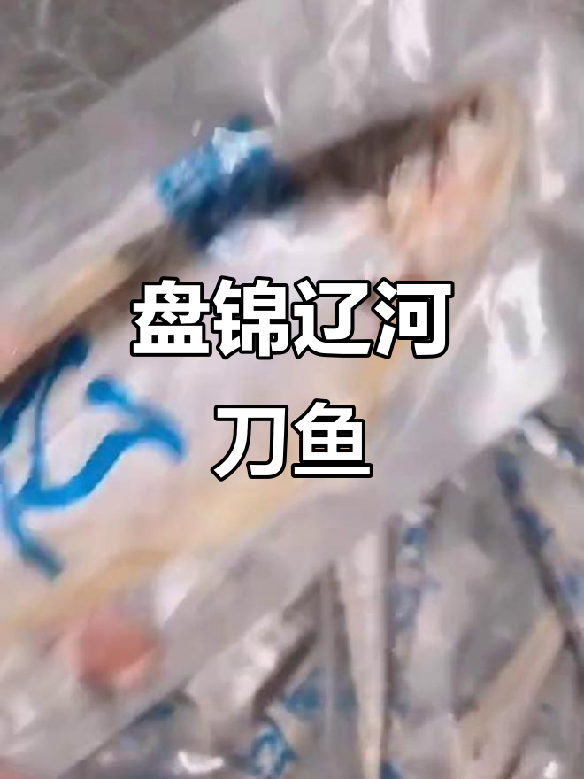 辽宁盘锦辽河刀鱼:海水与河水交汇处的美味野生鱼
