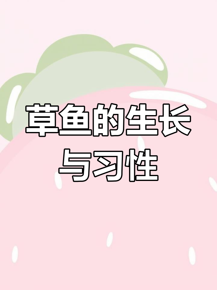 草鱼:淡水养殖的“四大家鱼”之一,了解它的生活习性与繁殖特点