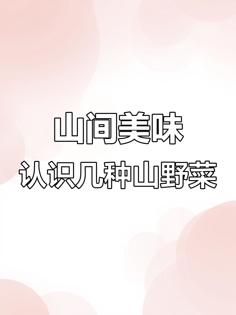 探秘山野菜:这些大自然的馈赠你尝过吗?