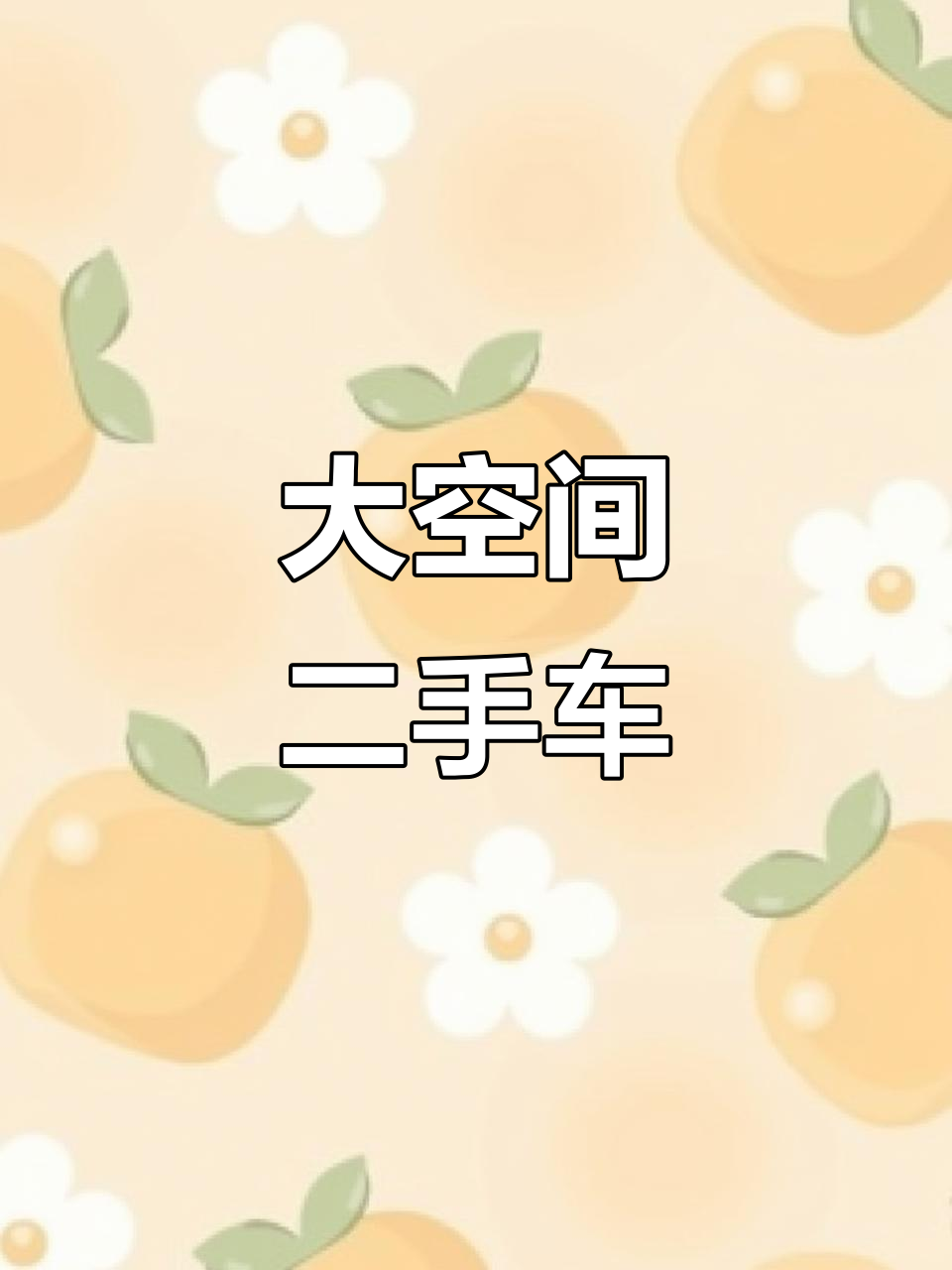 超大空间，北汽威旺307二手面包车推荐！